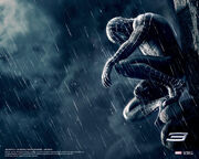 Black-spider-man-rain