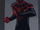 Miles Morales (Tierra-TRN457)