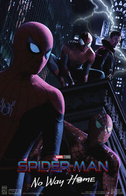 Spider-Man 3 - NWH Poster