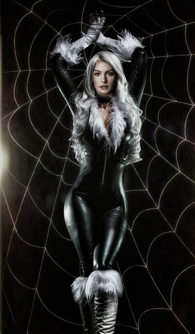 The Amazing Spider-Man Black Cat Felicia Hardy Cosplay Costume