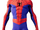 Into the Spider-Verse Suit (Peter Parker)