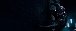 Venom climbs on wall