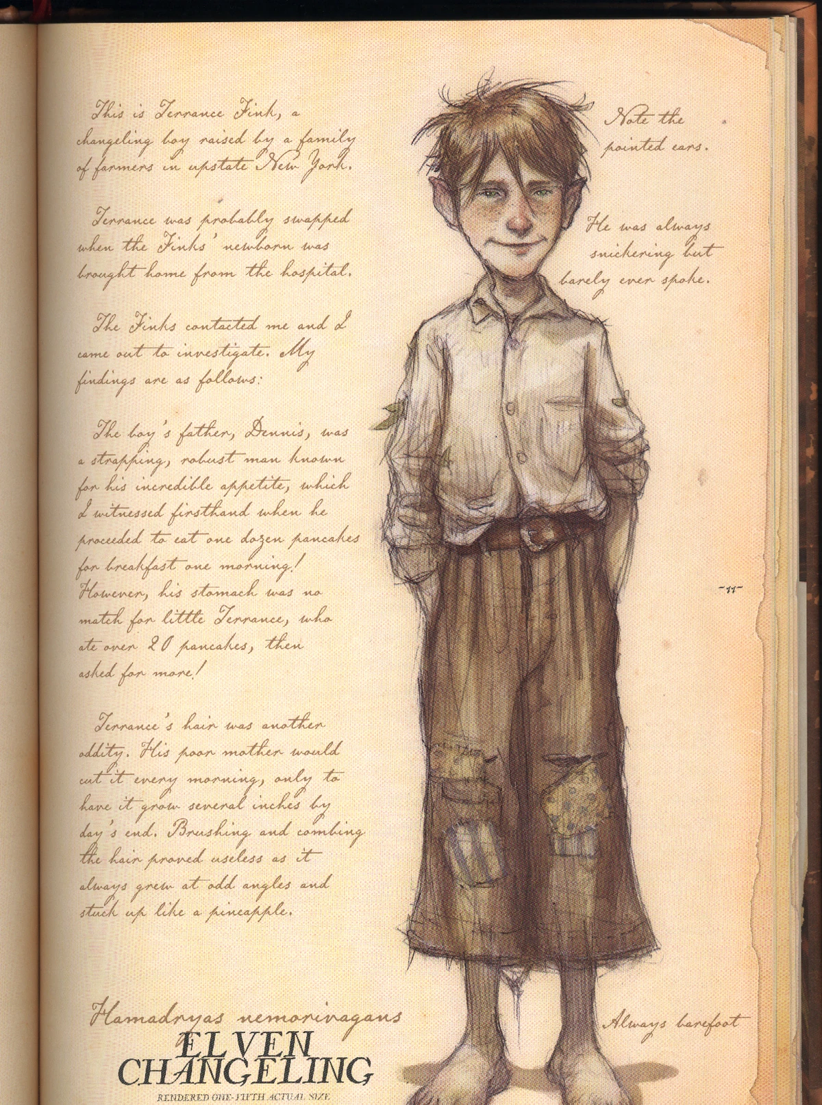 Changeling Spiderwick Chronicles Wiki Fandom