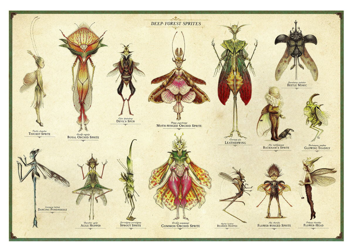 Sprite Spiderwick Chronicles Wiki Fandom