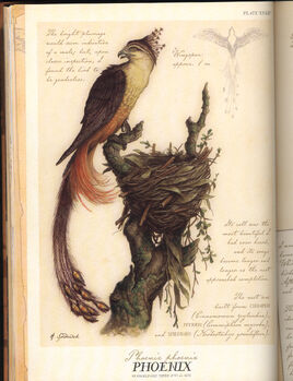 Firebird