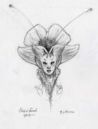 Orchidfacedsketch-1-