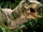 Tyrannosaur Buck