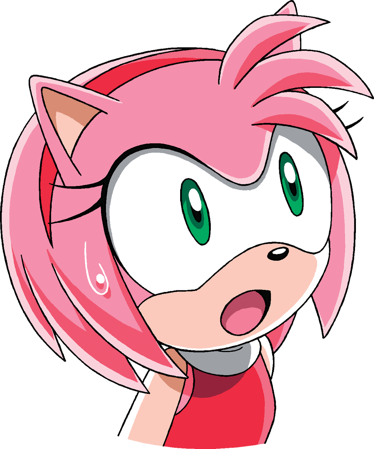 Amy Rose, Sonic X Wikia