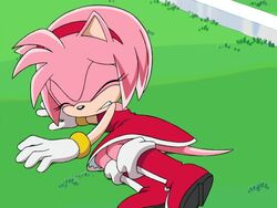 Amy Rose, Sonic X Wikia