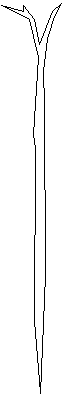 Astspindel.gif