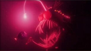 Finding Nemo Anglerfish Attack Deleted Version Spinpasta