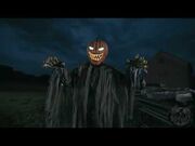 Pumpkin Patch Prowler - Online Video