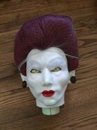 Head with hairnet