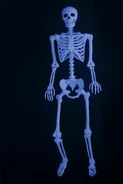 Under blacklight