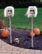 Skulls