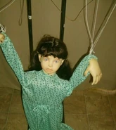 SampleMaestro6.jpg (36 KB)