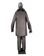 Back view