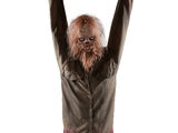 Tortured Torso (2019)