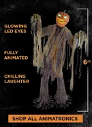 2019 dimensions and features