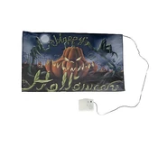 H19138.jpeg (46 KB) With control box