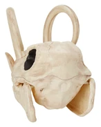 Back view