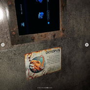 Inside Spirit Aquarium