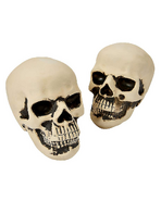 Prototype front view of both skulls