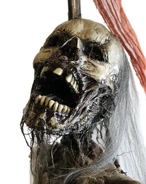 07893704-d.jpeg (643 KB) Close-up view of face