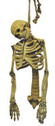 Legless skeleton version