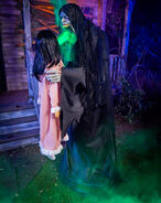 Website photo