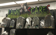 2015 display