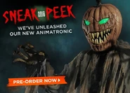 Screenshot 2018-07-07 at 3.25.49 PM.png (443 KB) 2018 pre-order advertisement