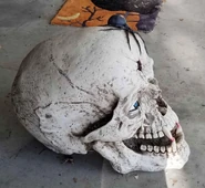 D0D6CD71-A93F-48A0-98A1-8DA06E86939F.jpeg (494 KB) Left side view