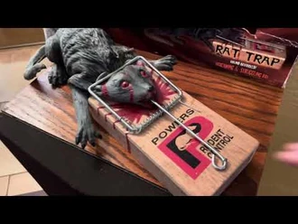 Spirit_Halloween_2003_rat_trap