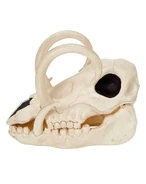 Left side view