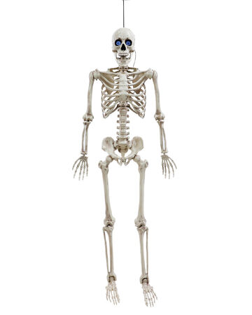Digieye Hanging Skeleton Spirit Halloween Wikia Fandom