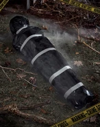 Website photo