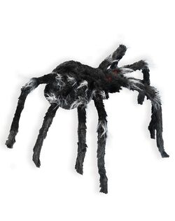 Details about / Spooky Spider Halloween LED Light up spoopy animated scary not dropping jumping
