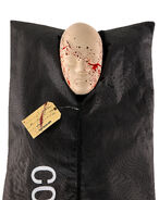 Alternate mask