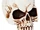 Jawless Skull