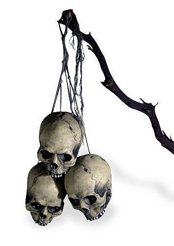 Hanging Skeleton Hanging Skeleton
