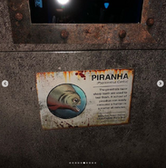 Inside Spirit Aquarium