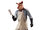 The Butcher