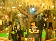 Setup in Wicked Woods display