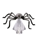 Gray Jumping Spider