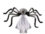 Gray Jumping Spider