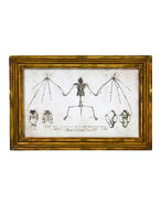 Skeletal system sign
