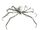 34" White Spider