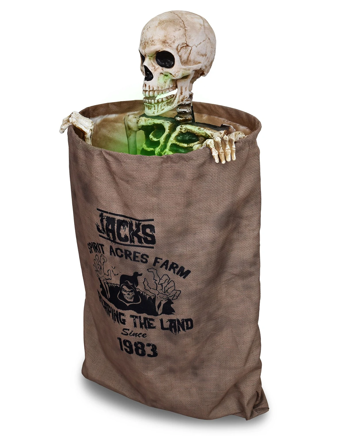 Bag O' Bones Spirit Halloween Wikia Fandom
