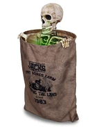 Bag O' Bones